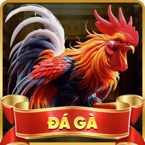 Hiểu luật chơi Slot g666 game bài