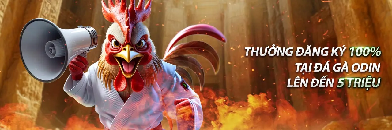 Hình ảnh chính về cá cược thể thao tại g666 game bài